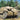 Academy 1/35 Academy Jagdpanzer 38(t) Hetzer Early Version Tank