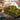 Amusing Hobby 1/35 Amusing Hobby Pz.Kpfw.38D German Tank