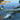 Clear Prop 1/144 Clear Prop OV-1 A/JOV-1A Mohawk