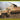 Dragon 1/35 Dragon Sd.Kfz.251/21 Ausf.D DRILLING Halftrack