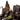 Eduard 1/32 Eduard TBD-1 Devastator Exterior Photo Etch