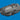 Eduard 1/48 Eduard P-38F/G right engine PRINT Brassin for TAMIYA