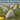 Gecko Models 1/35 Models Dragon Teeth Anti-Tank Obstacle Set (Small Version)