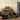 Hobby Boss 1/72 Hobby Boss 48N6E of 5P85S TEL S-300PMU SA-10 GRUMBLE - 100% new tooling