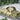 Hobby Boss 1/72 Hobby Boss German German Panzerjagerwagen 1