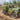Hobby Boss 1/35 Hobby Boss Russian ZIS-5 Truck - HY83885