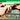 MikroMir 1/48 Mikro Mir Soviet Light Tank T-70 / T-70M