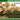 MikroMir 1/48 Mikro Mir Soviet Anti Aircraft Tank T-90