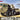 ModelCollect 1/72 ModelCollectU.S M983A2 Tract