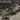 Miniart 1/35 Miniart BMR1 Early Mod w/KMT5M Mine Clearing Armored Vehicle