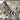 Roden 1/48 Roden Fokker D VII (Early) WWI German BiPlane Fighter