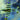 Trumpeter 1/32 Trumpeter Mustang III (P51B/C) RAF Fighter