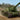 Trumpeter 1/35 Trumpeter Soviet Su152 Tank Late Version