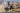 Academy 1/72 Academy  British Army AH-64 Afghanistan