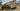 1/72 Academy PZ.KPFW.IV  AUSF .H