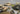 ACE Model 1/72 ACE Models Long Range Centurion Mk.3/5 (w/external fuel tanks)
