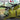 Amusing Hobby 1/35 Amusing Hobby Rheintochter R-1