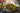 Amusing Hobby 1/35 Amusing Hobby Pz.Kpfw.38D German Tank