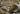 Border Model 1/35 Border Model PzKpfw Iv Ausf J Early / MidRail Way Flatbed Ommr