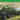 Dragon 1/35 Dragon Sd.Kfz.10 Ausf.A w/5cm PaK 38 Plastic Model Kit