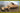 Dragon 1/35 Dragon Sd.Kfz.251/21 Ausf.D DRILLING Halftrack