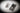 Eduard 1/48 Eduard Spitfire Mk.V Space for Eduard
