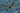 Hobby Boss 1/35 Hobby Boss Fieseler Fi-156U Storch