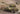 Hobby Boss 1/35 Hobby Boss T26E4 Pershing, Pilot #2