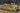 Hobby Boss 1/72 Hobby Boss German Kanonen und Flakwagen of BP42