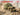 ICM Models 1/35 ICM G7117 with WWII Soviet Drivers
