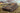 1/35 iLoveKit German Rhm-Borig Waffentrager Tank Destroyer
