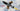 ModelCollect 1/72 ModelCollect German WWII aircraft weapon set, (X-4 x10)(SC1000 x4)