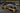 Meng 1/24 AUDI R8 LMS GT3 EVO II B-Quik Absolute Racing Plastic Model Kit