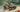 Miniart 1/35 Miniart M3 Stuart Light Tank (Initial Production)