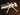 Hold and Place Pencil - 2 Pack