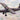 Roden 1/48 Roden Pilatus PC-6/B2-H2 Turbo-Porter