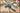 1/48 Roden Beechcraft GB2 Staggerwing (Traveller) WWII US Courier BiPlane