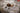 Roden 1/32 Roden Spad VII CI Early WWI Main French BiPlane Fighter