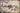 Roden 1/32 Roden Nieuport 28c1 WWI French BiPlane Fighter