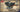 Roden 1/32 Roden Wolseley W4A Viper WWI V-Figurative Water-Cooled Aircraft Engine