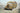 Roden 1/72 Roden Opel Blitz Omnibus W39 Late WWII service