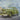 Roden 1/35 Roden WWII 1941 Packard Clipper US Army Staff Car