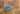Roden 1/35 Roden 1938 Ford V8G81A Special Sedan Plastic Model Kit