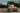 Ryefield 1/35 Ryefield Bergepanzer Tiger I w/workable track links