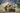 Ryefield 1/35 Ryefield Model Pz. Kpfw.IV Ausf J Last w/full