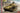 Ryefield 1/35 Ryefield Model Panther Ausf.F w/workable trac