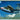 Tamiya 1/48 He162A2 Salamander Fighter