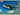 Tamiya 1/48 He162A2 Salamander Fighter