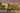 Trumpeter 1/35 Trumpeter WWII German Army Kommandowagen Armored Troop Transport Railcar