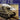 Uni Model 1/72 Uni Model Soviet light tank T-80